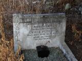 image of grave number 342621
